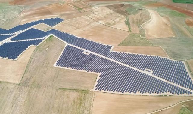 GES yatırımları yılda 900 binin üzerinde ağacı kazandıracak