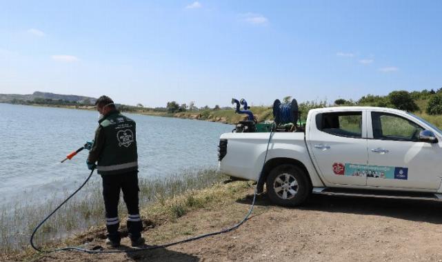 İstanbul’a sivrisineklerle mücadele çalışmaları yoğunlaştı