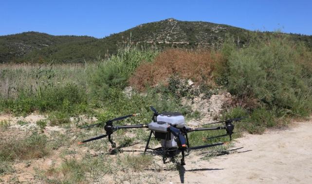 İzmir Efes Selçuk’ta Büyükşehir’den ilaçlama desteği
