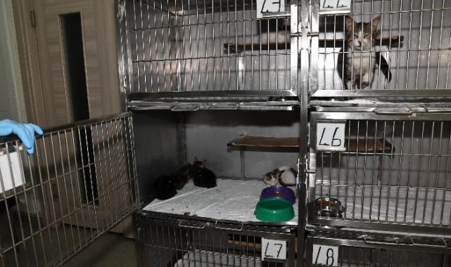 İzmir Karabağlar yangın için seferber oldu