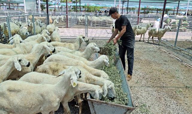 “Kayseri’de bir numara Talas Belediyesi”