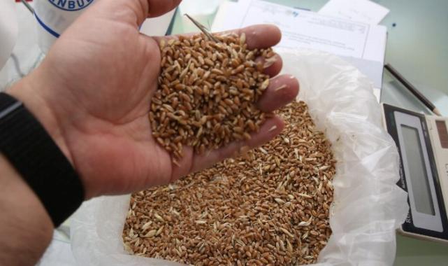 Keşan’da yılın İlk buğday ve arpası borsaya getirildi