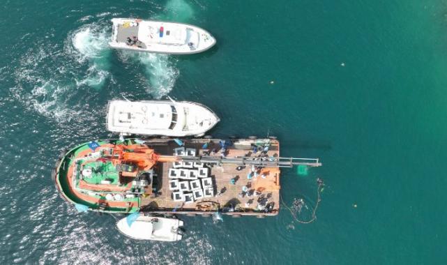 Kocaeli’de balıkçılığa yapay resif desteği… İlk resifler bırakıldı