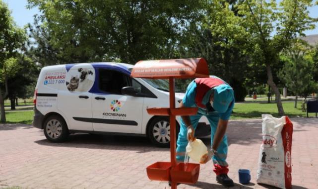 Kocasinan’dan sıcak havada sokak hayvanlarına su ve mama takviyesi