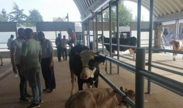 Kurbanlık pazarında durgunluk