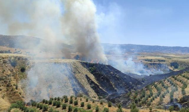 Manisa Alaşehir’de korkutan yangın kontrol altına alındı