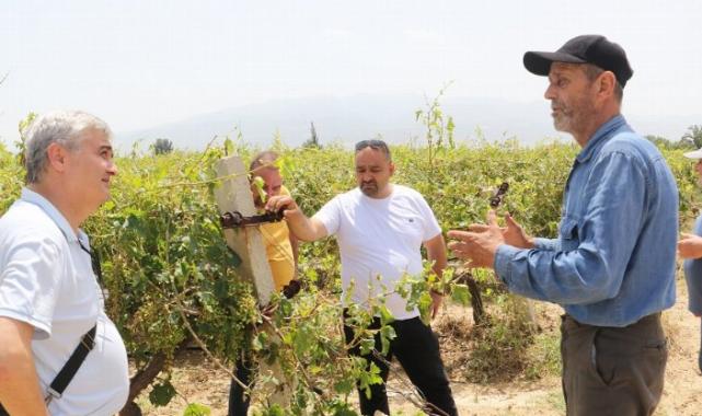 Manisa Meclisi’nden hasar gören üreticilere destek