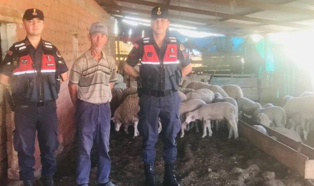 Meriç’te 62 kayıp küçükbaş hayvanlar drone ile bulundu