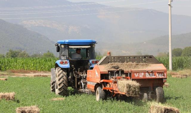 Muğlalı üreticinin yüzü gülüyor