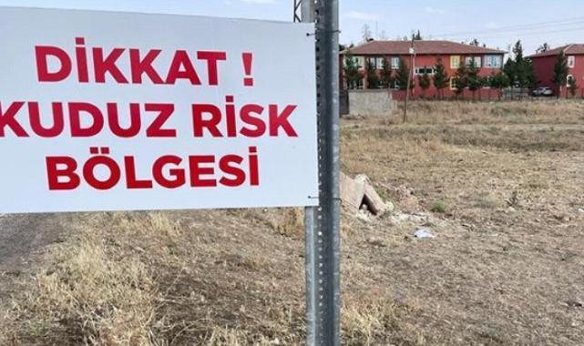 Niğde’de kuduz karantinası!