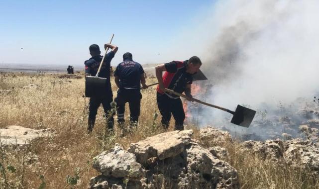 Ormanlık alanda çıkan yangın kontrol altına alındı