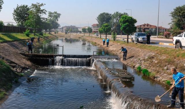 Sakarya Çark Deresi’nde temizlik seferberliği