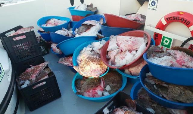 Şile’de kaçak avcılık operasyonu