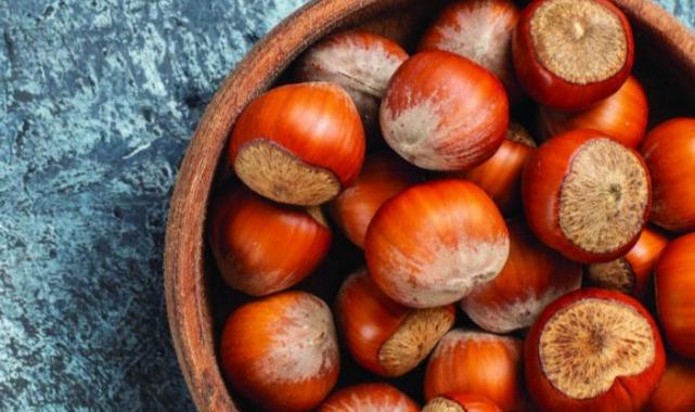 TMO’dan kartla kabuklu fındık alma imkanı