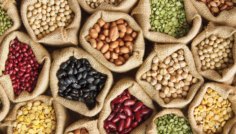 TÜRKTOB Başkanı Güler’den çiftçilere eski tohum uyarısı!