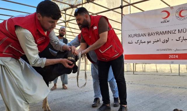 Türk Kızılay’ın kurban kesimleri 19 ülkede sürüyor