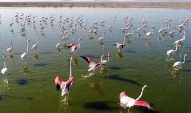 Turnalara ‘halka’lı sıkı takip!