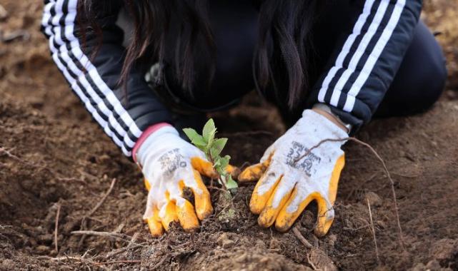 Uludağ Elektrik’ten doğaya anlamlı miras