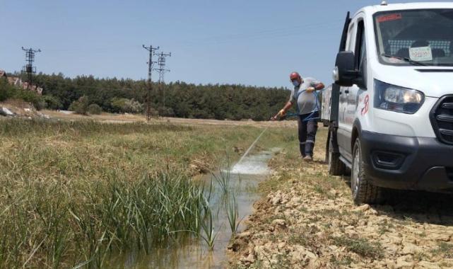 Veterinerlik İşleri Müdürlüğü larvasit mücadelesini sürdürüyor