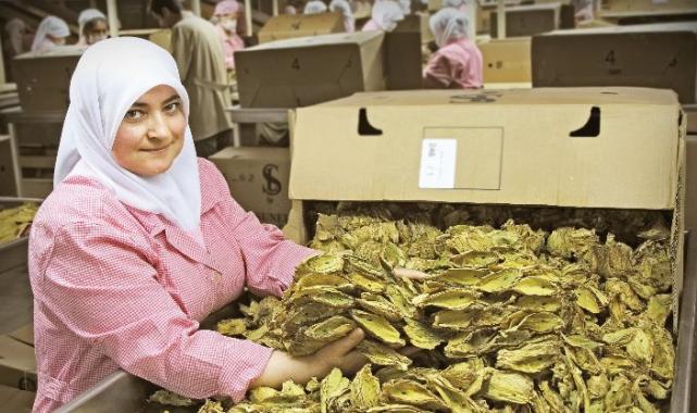 Yİ-ÜFE yıllık değişimde tütün ürünleri artışta