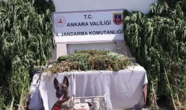 12 ilde Narkoçelik’e 28 tutuklama!