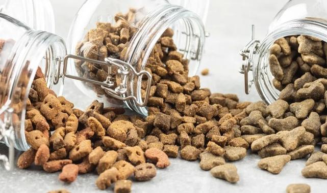 91 ülkedeki patili dostlar Türkiye’den beslendi