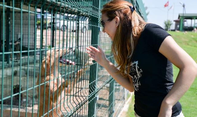 Antalya Muratpaşa’da ‘ötenazi’ye karşı!