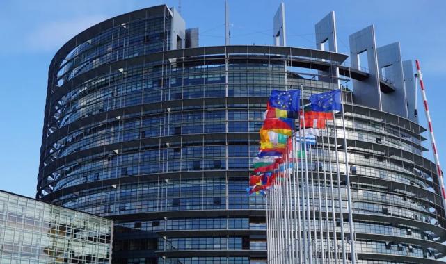 Avrupa’dan Türkiye’ye sokak hayvanları çağrısı