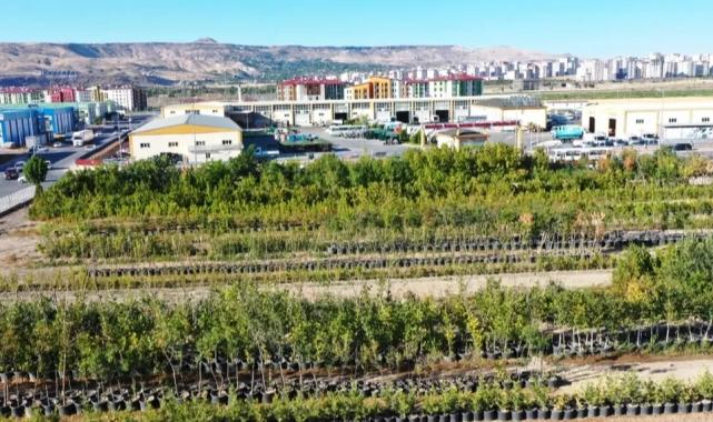 Başkan Çolakbayrakdar, “Yeşil ve daha yeşil bir Kayseri için çalışıyoruz”