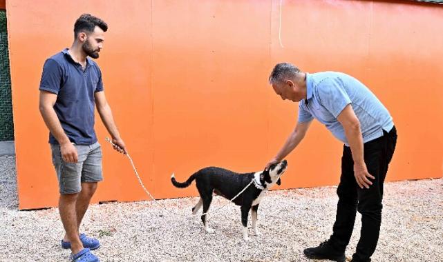 Başkan Uysal: ‘Denge Sağlanmalı’