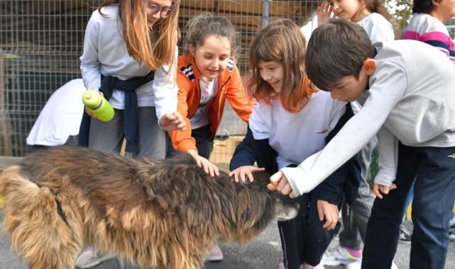 Beylikdüzü’nden o yasaya tepki!