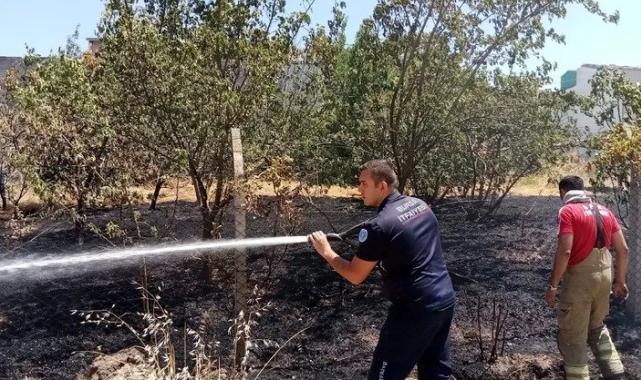 Bursa Yolçatı’da yeniden yangın başladı