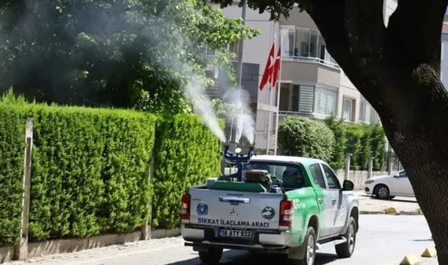 Bursa’da yetersiz ilaçlama, sinek istilasına kapı aralıyor