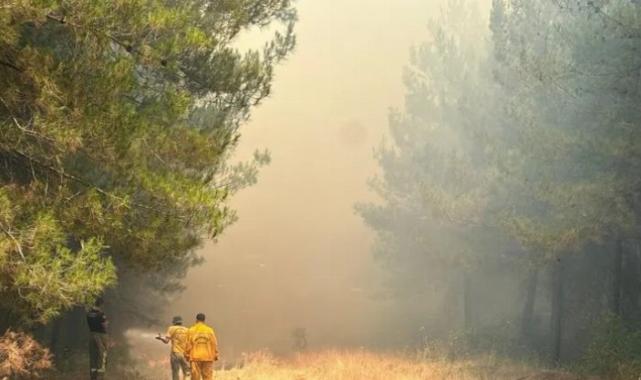 Bursa’daki orman yangını hakkında dikkat çeken iddialar