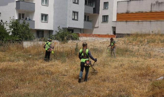 Çayırova’da yabani otlar temizleniyor