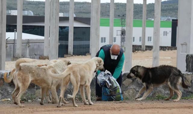 Çok tartışıldı… O düzenleme yasalaştı!