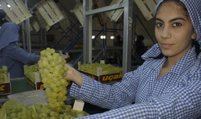 Diyabet hastalarının tercih ettiği üzüme vize çıktı