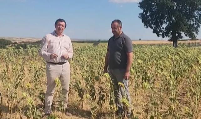 Gaytancıoğlu: Ayçiçeği fiyatı en az 25 TLolmalı