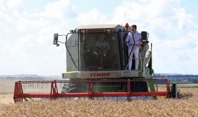 İstanbul’da deneme tohumlarında ilk hasat