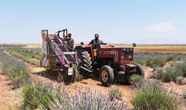 Konya’da lavanta desteği çiftçiye katkı sağlıyor