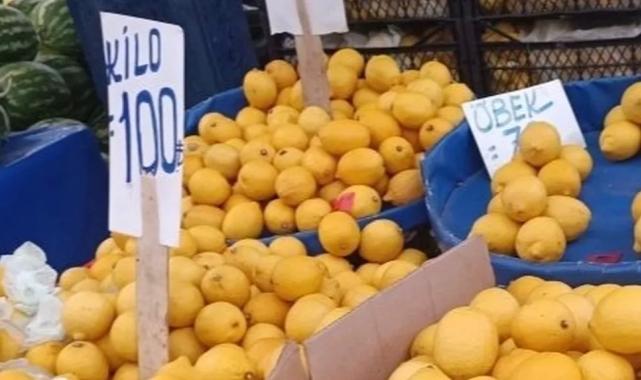 Limon üreticisinin sesine duyarsızlık fahiş fiyatlara neden oldu
