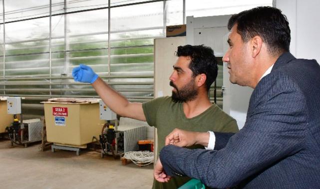 Manisa’da jeotermal seraya can suyu