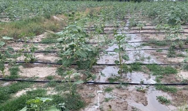 Melikgazi hem israfı engelliyor hem de verimliliği artırıyor