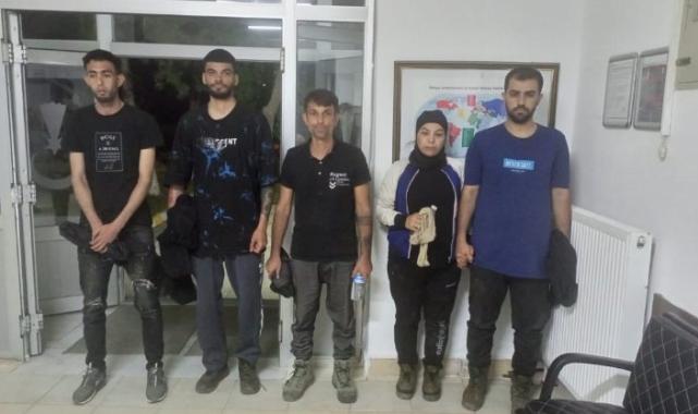 Meriç’te 5 göçmen yakalandı