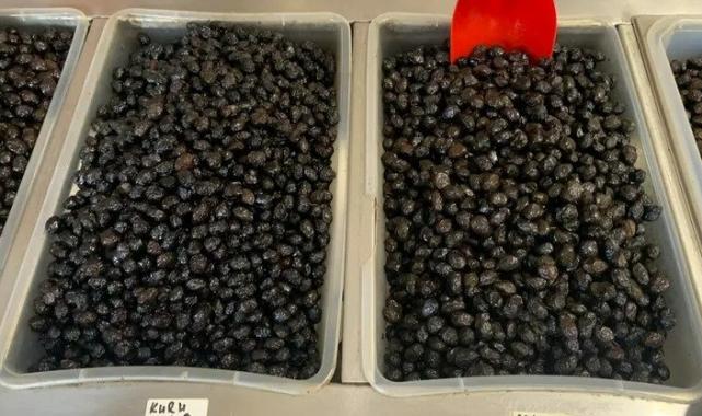 Meşhur İznik zeytininde fiyatlar ne durumda?