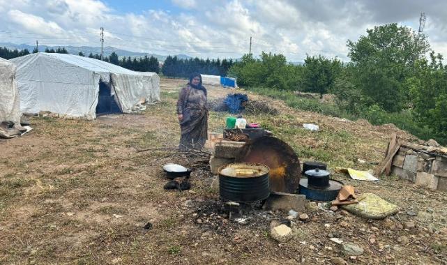 Mevsimlik tarım işçileri sosyal güvence yoksunu