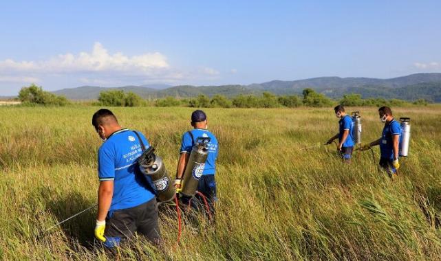 Muğla’da vektörle mücadeleye devam