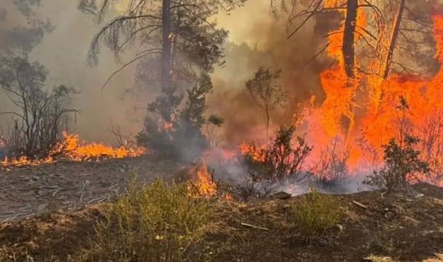 Orhaneli’nde orman yangını çıktı 