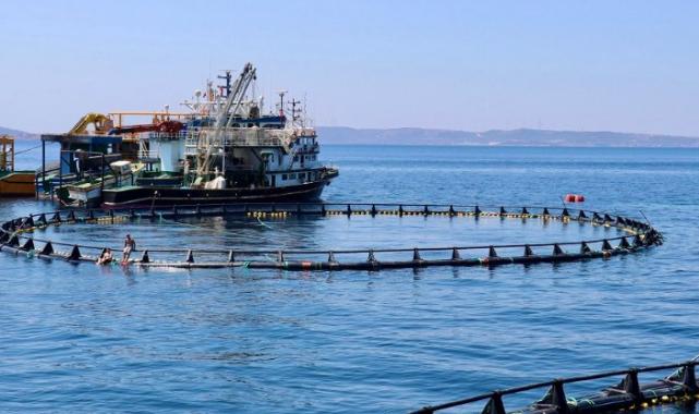 Orkinos çiftlikleri İzmir’den dünyaya açılıyor