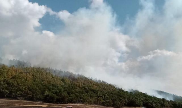 Orman İşletme Müdürü Ertunç Can Polat yangınlara karşı uyardı